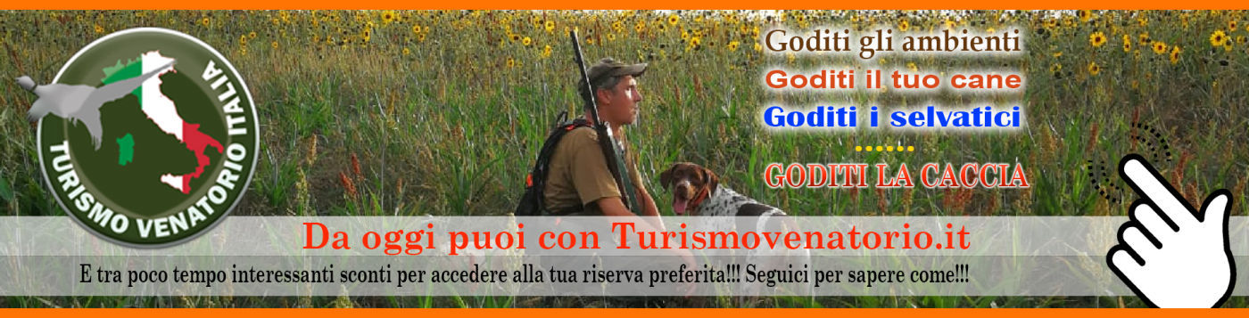turismo venatorio la caccia in riserva in italia